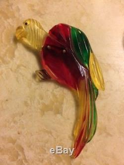 1940's Vintage Apple Juice Bakelite Parrot Pin. Tests Positive With Simichrome