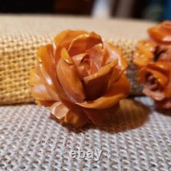 BAKELITE NATURE JEWELRY Lot of 10 PINS & CLIPS CARVED Flowers EAGLE Bird FOLTZ