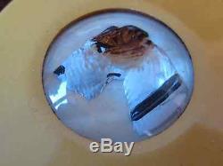 Beautiful And Very Rare Antique Bakelite Dog Pin Vintage
