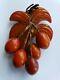 Beautiful RaRe 1940's Vintage Carved COCONUT Tropical BAKELITE PIN