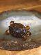 Vintage 1920s 1930s Amber Tone Carved Bakelite Tortoise Turtle Brooch Pin