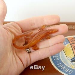 Vintage 1940s Amber Prystal Bakelite Carved Lizard Novelty Brooch 40s 50s Pin