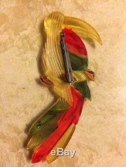Vintage Apple Juice Bakelite Pin Toucan Parrot. Test Positive With Simichrome