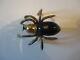 Vintage Brass Large Spider Broach/pin With Bakelite 2